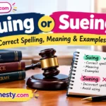 Suing or Sueing